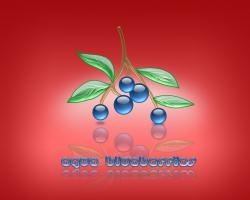 aqua blueberries 06