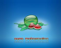 aqua watermelon 03