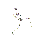 scheletril148