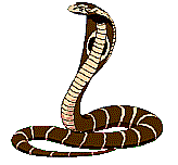 serpente014