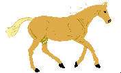 horse10a