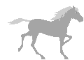 horse8a