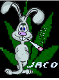 jaco1