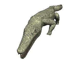 crocodile big bite hg clr
