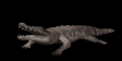 crocodile bite md blk