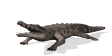 crocodile bite md wht