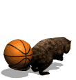 beaver flipping basketball md wht