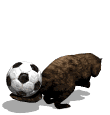 beaver flipping soccer ball md wht