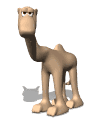 toon camel looking md wht