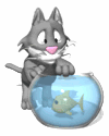 cat reaching fish bowl md wht