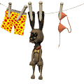 puppy on clothesline md wht
