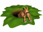 donkey in ground hole md wht