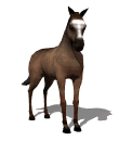 horse tail swing md wht
