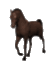 horse walk md wht