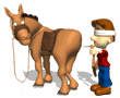 kid pin donkey tail md wht