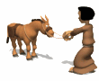 man stubborn donkey md wht