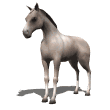 quarterhorse tail swing md wht