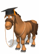 smart donkey md wht