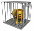 lion in cage md wht