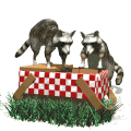 raccoons in picnic basket md wht