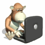 ape with laptop md wht