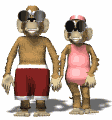 monkey couple hold hands md wht