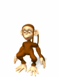 monkey jumping md wht