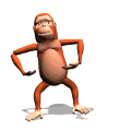 monkey scratch md wht