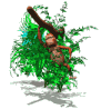 monkey swing tree md wht
