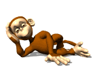 monkey tail form ampersand md wht