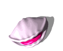 mr seabubbles bored md wht