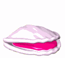 mr seabubbles with pearl md wht