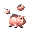 pig group fly md wht