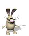 bunny hopping md wht