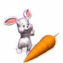 bunny in love with carrot md wht