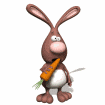 rabbit chewing carrot md wht