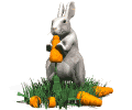 rabbit eating carrot md wht