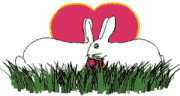 rabbit toon heart md wht