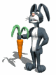 rex rabbit holding carrot md wht