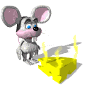 mouse sniff cheese md wht