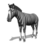 zebra bothered by fly md wht