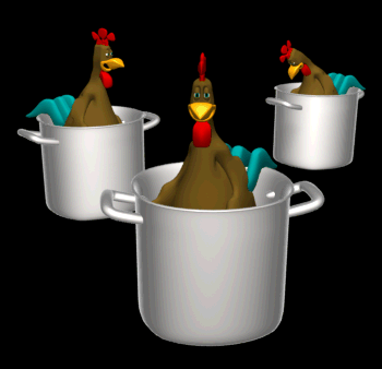 chicken in every pot hg blk  st