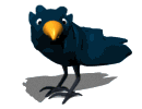 cartoon blackbird stare md wht