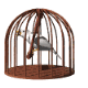 bird in a cage md wht