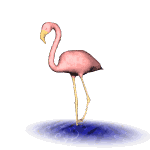 flamingo stand md wht