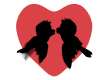 love birds md wht