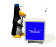 penguin fix computer md wht