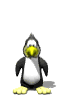 penguin fly md wht