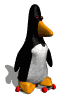 penguin skate md wht