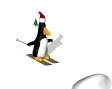 penguin ski jump md wht